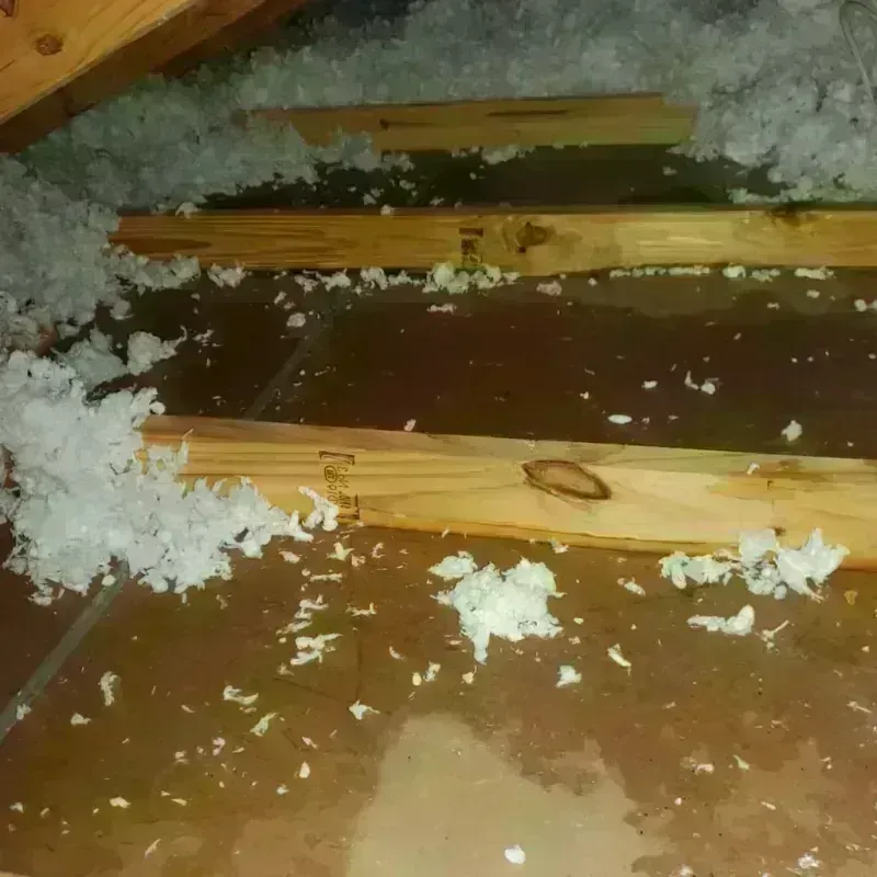 Attic Water Damage in Interlaken, CA